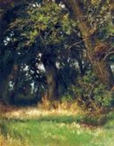 Boschstudie: The Forest Edge by Louis Apol