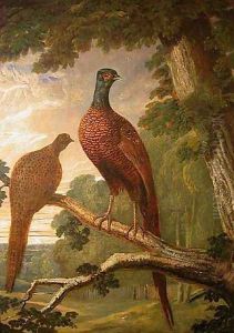 Cock and Hen Pheasant on a Roost by John Frederick Herring Snr