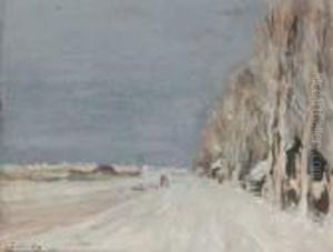 Trees Along A Snowy Lane