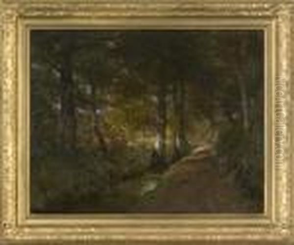 Woodedlandscape With Stream - view 1