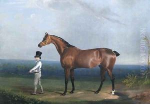 Bay Hunter Of William Hatfield by John Frederick Herring Snr