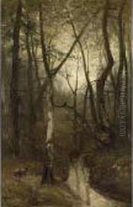A Forest Landscape With A Stream A Forest Landscape With A Stream