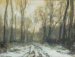 A Forest Path In Winter A Forest Path In Winter