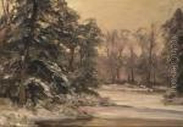 A Winter Forest - view 1