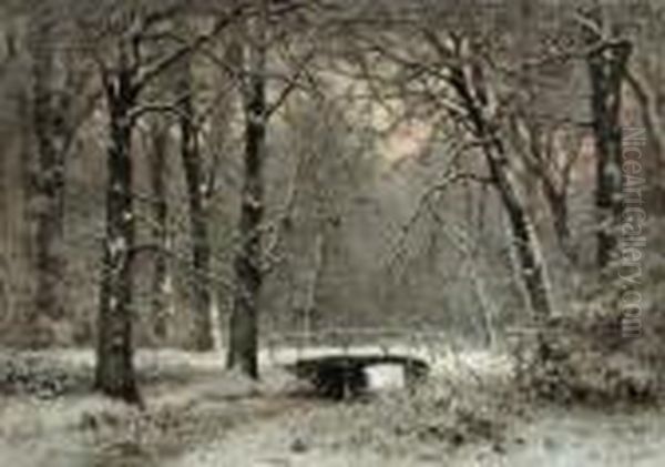 Haagsche Bos In Winter - view 1