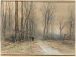 A Wanderer In The Haagsche Bos