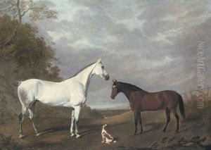 Dappled Grey Bay Spaniel 1820 by John Frederick Herring Snr