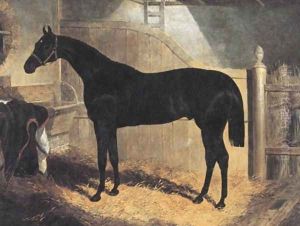Faugh A Ballagh 1845 by John Frederick Herring Snr