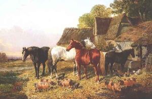 Horses Pigs &amp; Poultry
