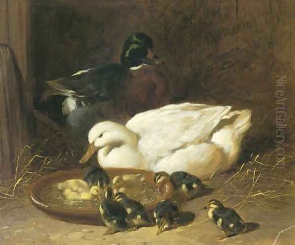 Duck And Duckings 1851 - view 1