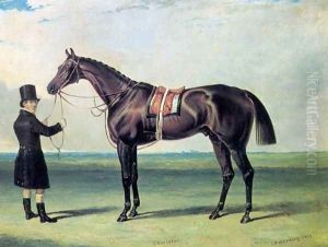 Bay Colt Chorister 1831 by John Frederick Herring Snr