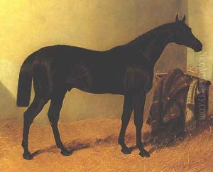 Charles XII by John F. Herring Senior by John Frederick Herring Snr