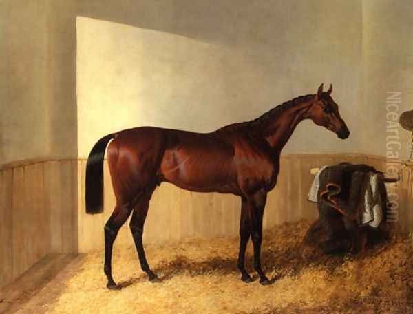 Merry Monarch in Stable - view 1