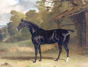 Black Tom a Black Hunter Beside a Stable 1830