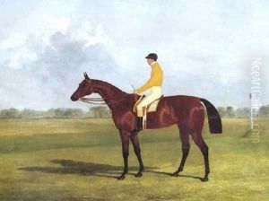 Miss Letty Winner Of The Oaks 1837 Miss Letty Winner Of The Oaks 1837