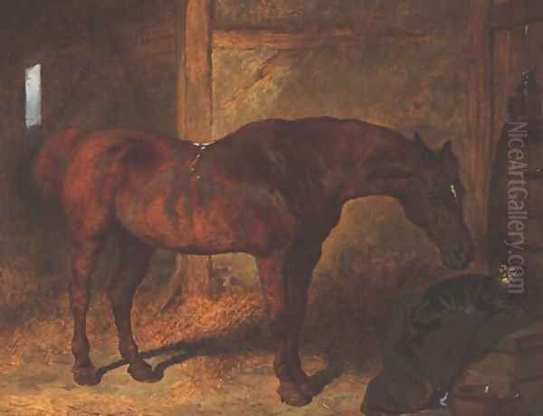 Chestnut Hunter & Cat in Stable - view 1