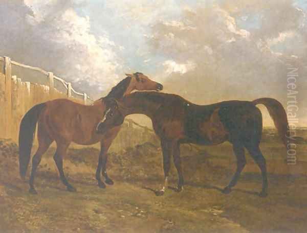 Languish and Pantaloon Two Horses in Landscape - view 1