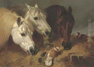Horses feeding with two ornamental pigeons at a manger by John Frederick Herring Snr