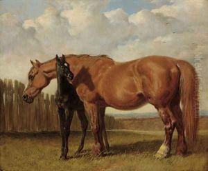 A chestnut mare with her foal in a paddock by John Frederick Herring Snr
