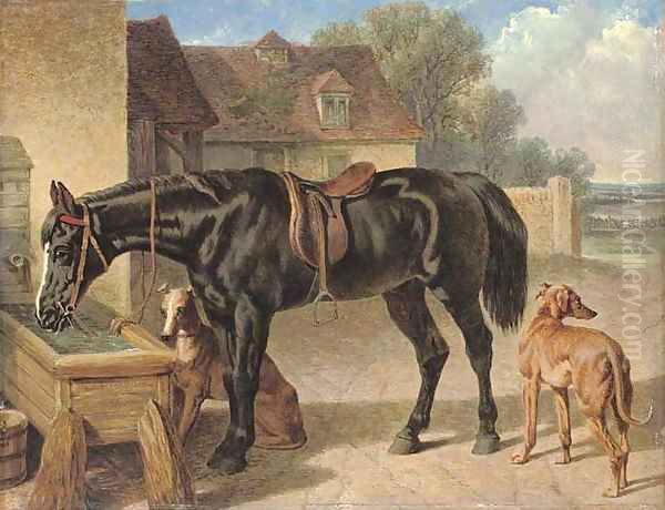 A farmer's hack and greyhounds - view 1