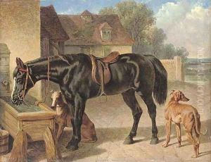 A farmer's hack and greyhounds by John Frederick Herring Snr