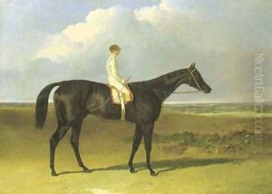 Mr O'Brien's Jonathan Wild, with jockey up by John Frederick Herring Snr