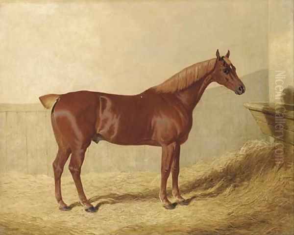 A chestnut in a stable - view 1