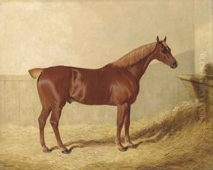 A chestnut in a stable by John Frederick Herring Snr