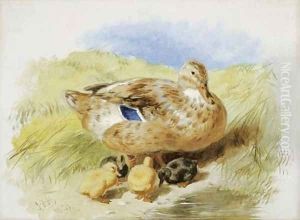 A Duck And Ducklings by John Frederick Herring Snr