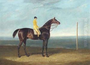 Jack Spigot, a dark bay racehorse with jockey up