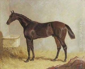 Birmingham, winner of the 1830 St. Leger Stakes, in a stable