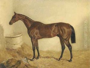 Little Wonder, winner of the Derby, 1840, in a stable Little Wonder, winner of the Derby, 1840, in a stable