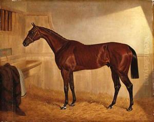 Lord Jersey's Bay Middleton in a Stable
