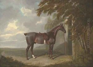 Mr. H.M. Greaves's liver chestnut hunter, tethered to a gate at Page Hall, Yorkshire by John Frederick Herring Snr