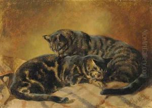 Two cats by John Frederick Herring Snr