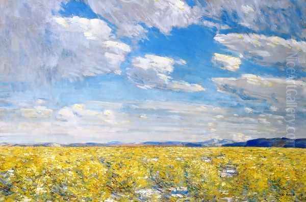 Afternoon Sky, Harney Desert - view 1