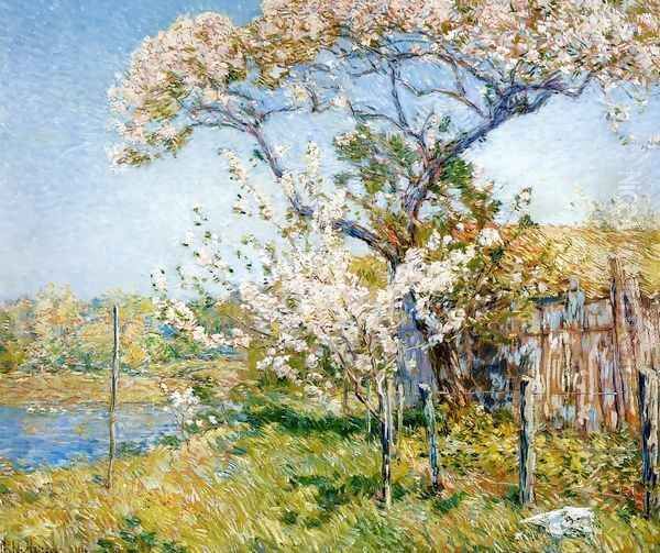 Apple Trees in Bloom, Old Lyme - view 1