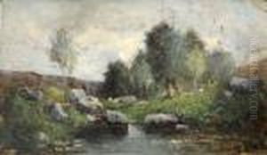 Ruisseau Dans L'ain
