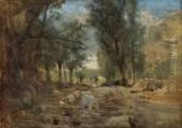 Sudliche Waldlandschaft - view 1