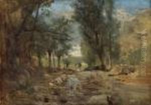 Sudliche Waldlandschaft