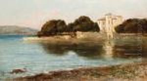 On The Shore Of A Lake