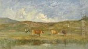 Sommerliche Landschaftspartie Mit Kuhen Bei Einem Teich.
