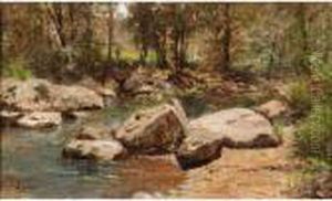 Le Ruisseau D'yzeron A Lyon Le Ruisseau D'yzeron A Lyon