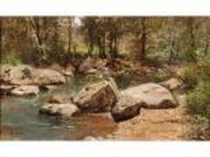 Le Ruisseau D'yzerona Lyon Le Ruisseau D'yzerona Lyon