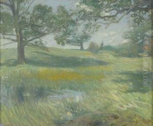 Meadows, c.1900-10 by Childe Hassam