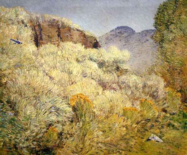 Harney Desert - view 1
