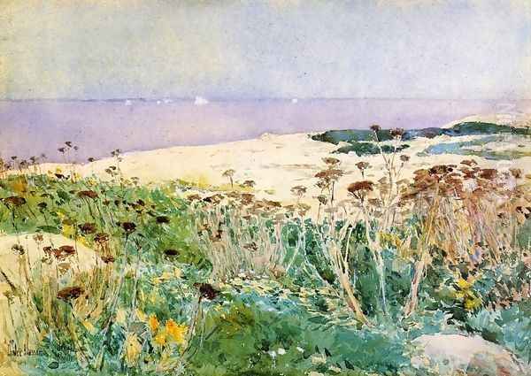 Isles of Shoals 5 - view 1