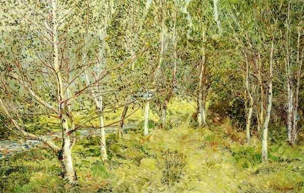 Spring Woods - view 1