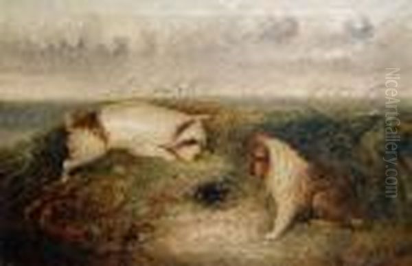 Terriers Rabbiting - view 1
