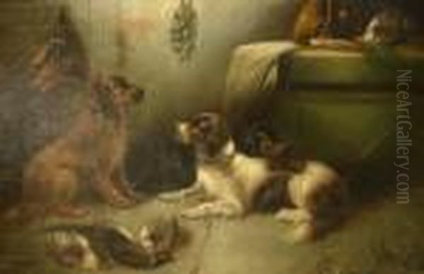 Hunting Dogs In The Back Kitchen - view 1